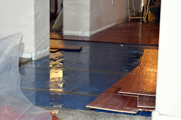 Professional Burst Pipe Cleanup technician working in New Douglas, IL